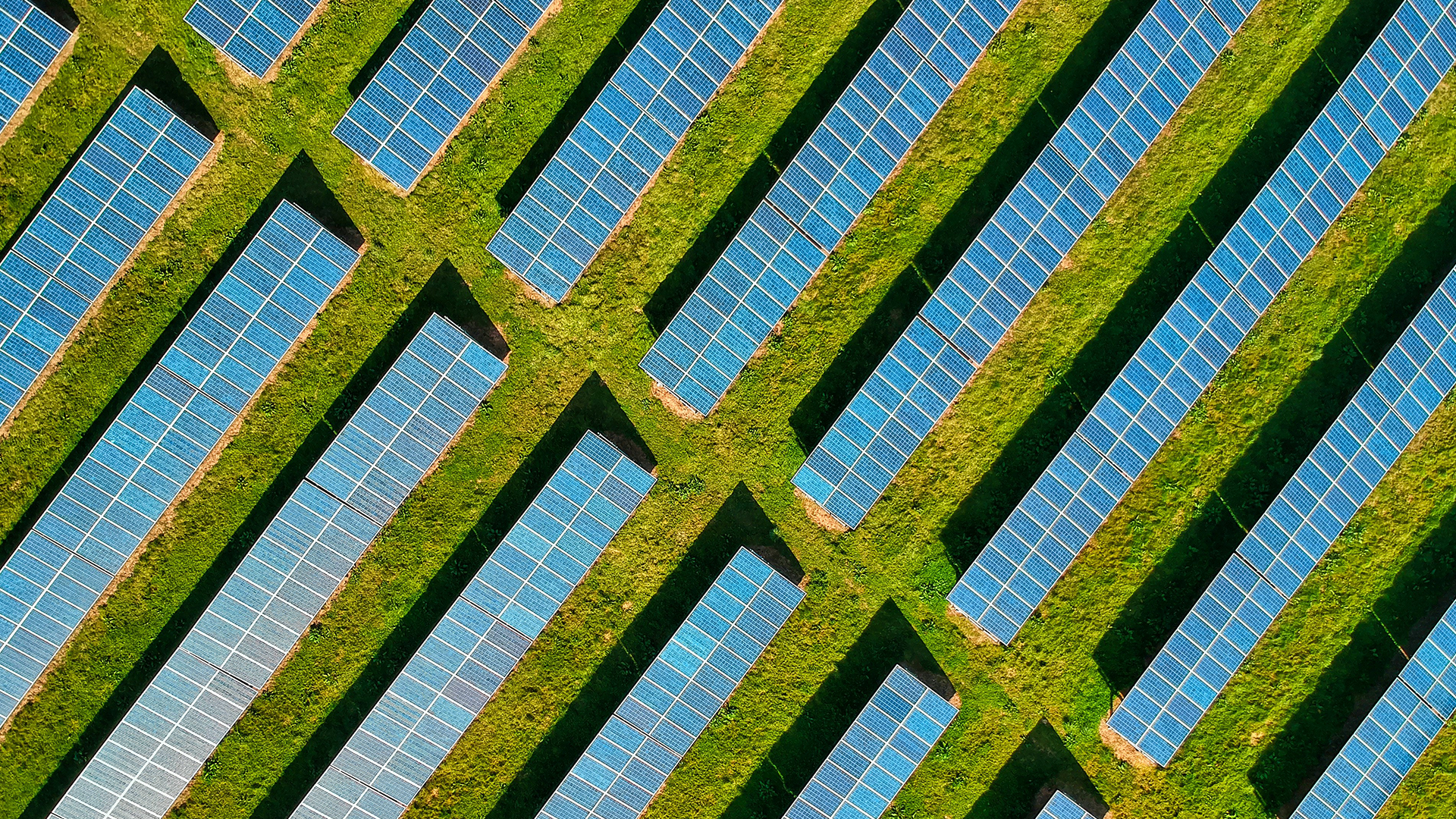 sky view of a utility-scale solar farm